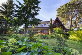Gniazdo. Apartamenty, pokoje, Władysławowo